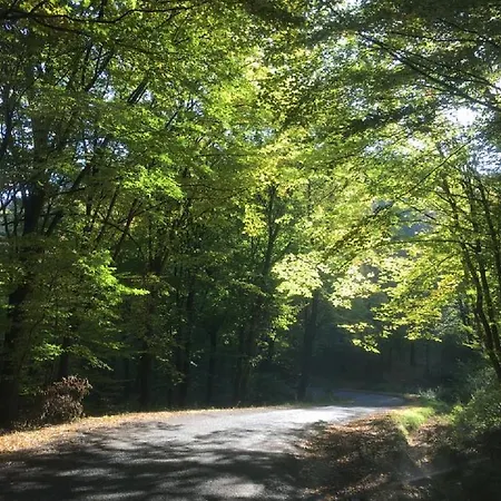Smaragdvolgy Pihenopark